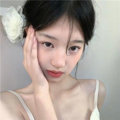 动物界